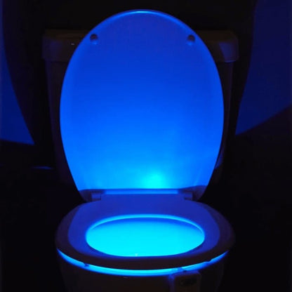 Smart Toilet Light Sensor