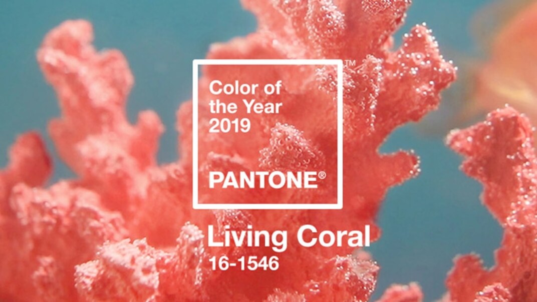 "Living Coral": el color para 2019 es finalmente revelado por Pantone