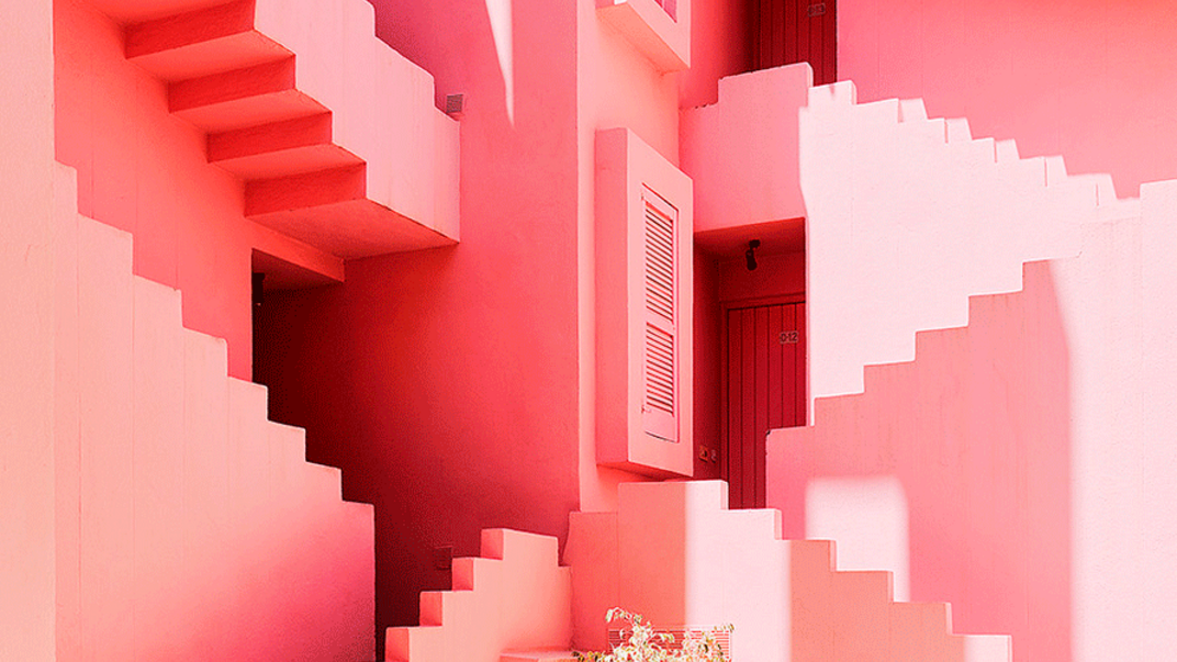 Diseño en rosa