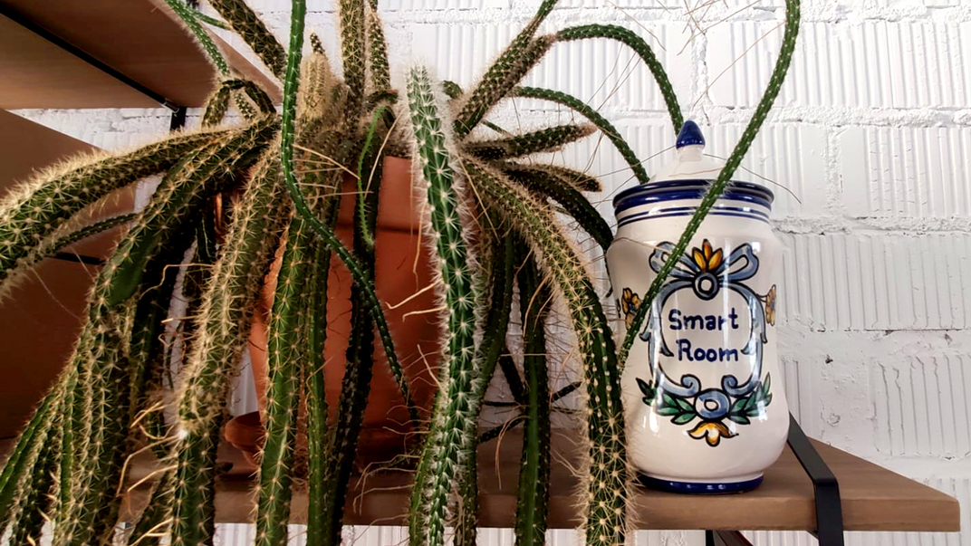 Artesanía y jardinería en un stand contemporáneo